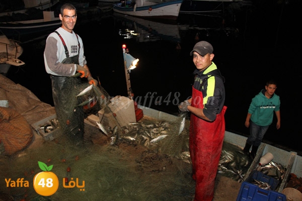 fishes in jaffa 0107 (18).JPG